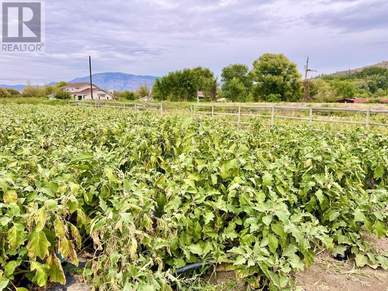 124 Road 10, Oliver, BC