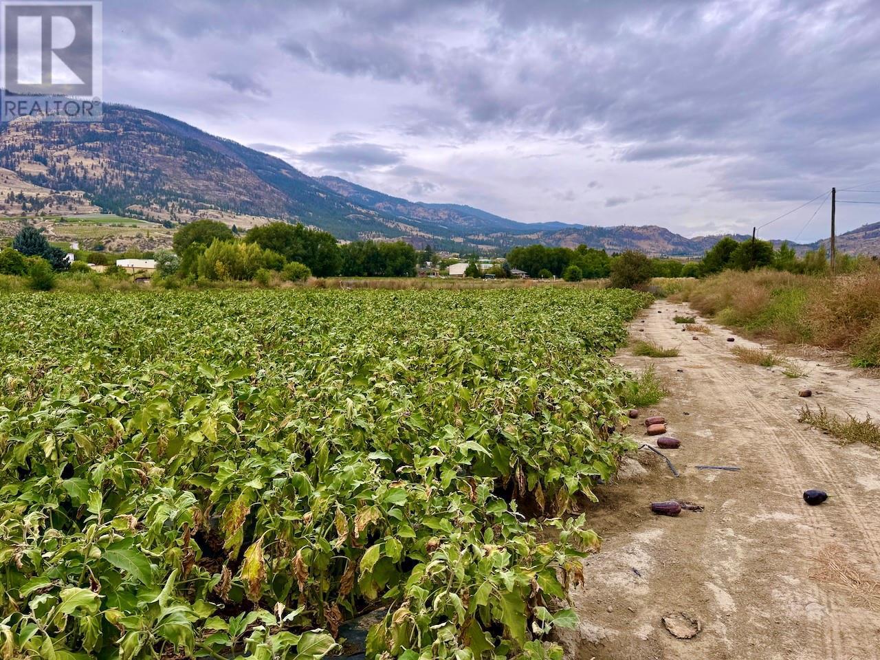 124 Road 10, Oliver, BC