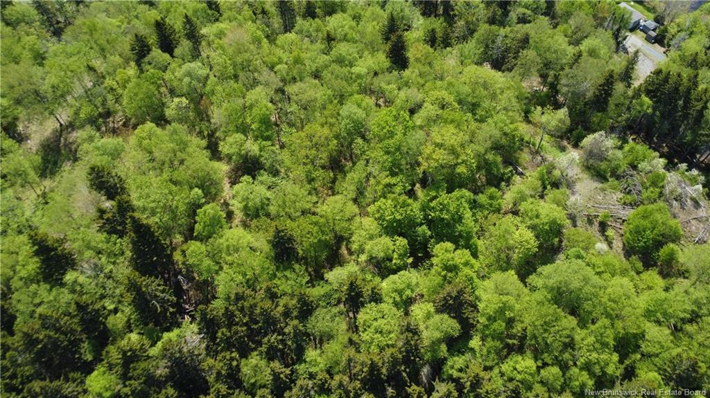 Lot Lydia'S Ledge Rd, Utopia, NB