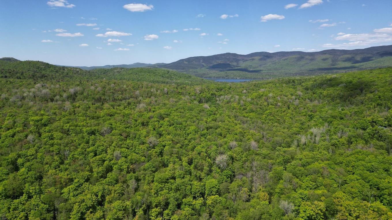 Vue d'ensemble - 115 Ch. Des Futaies, Mont-Tremblant, QC - Outdoor With View