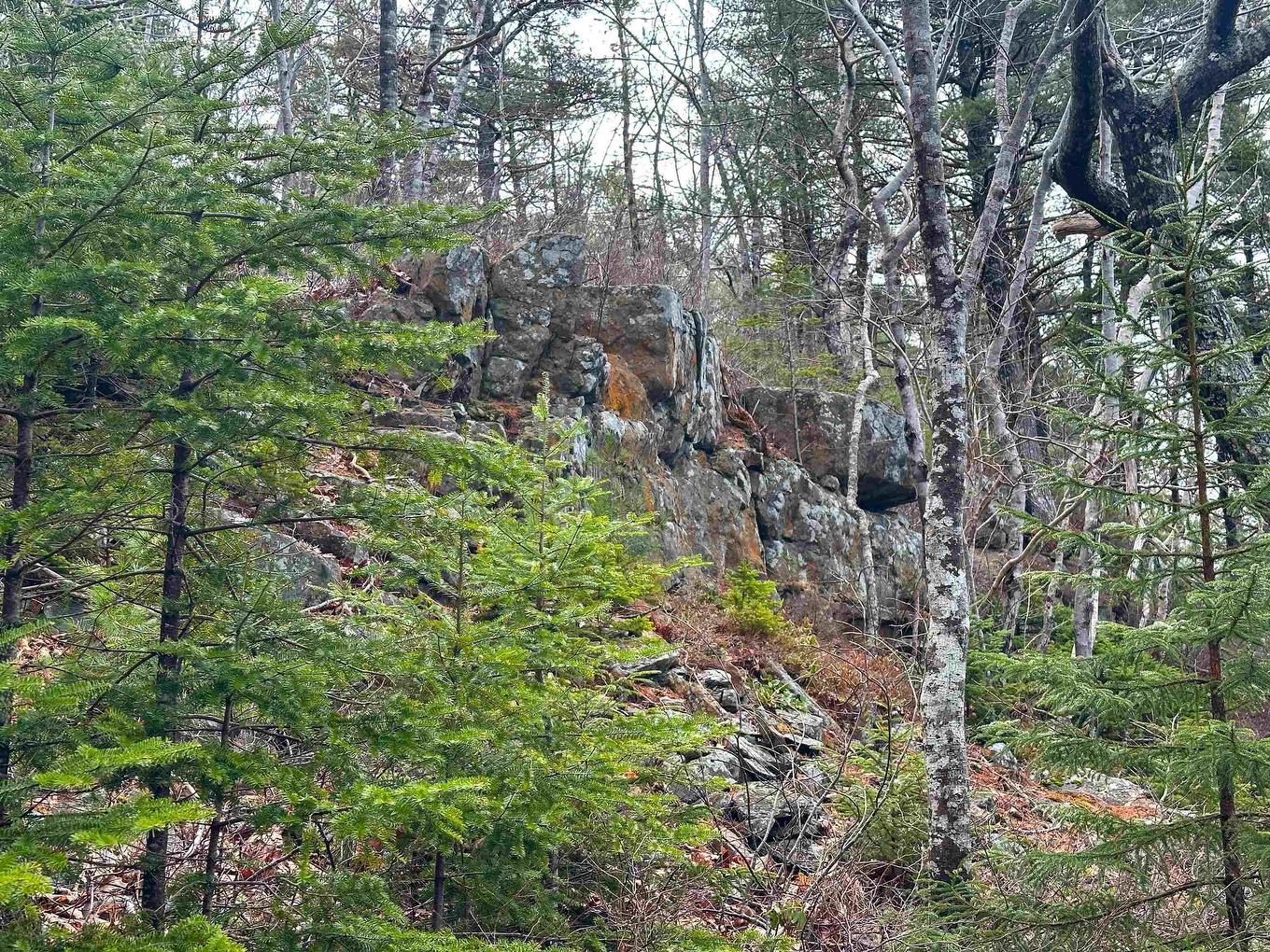 Parcel Rl-1 329 Highway, Deep Cove, NS