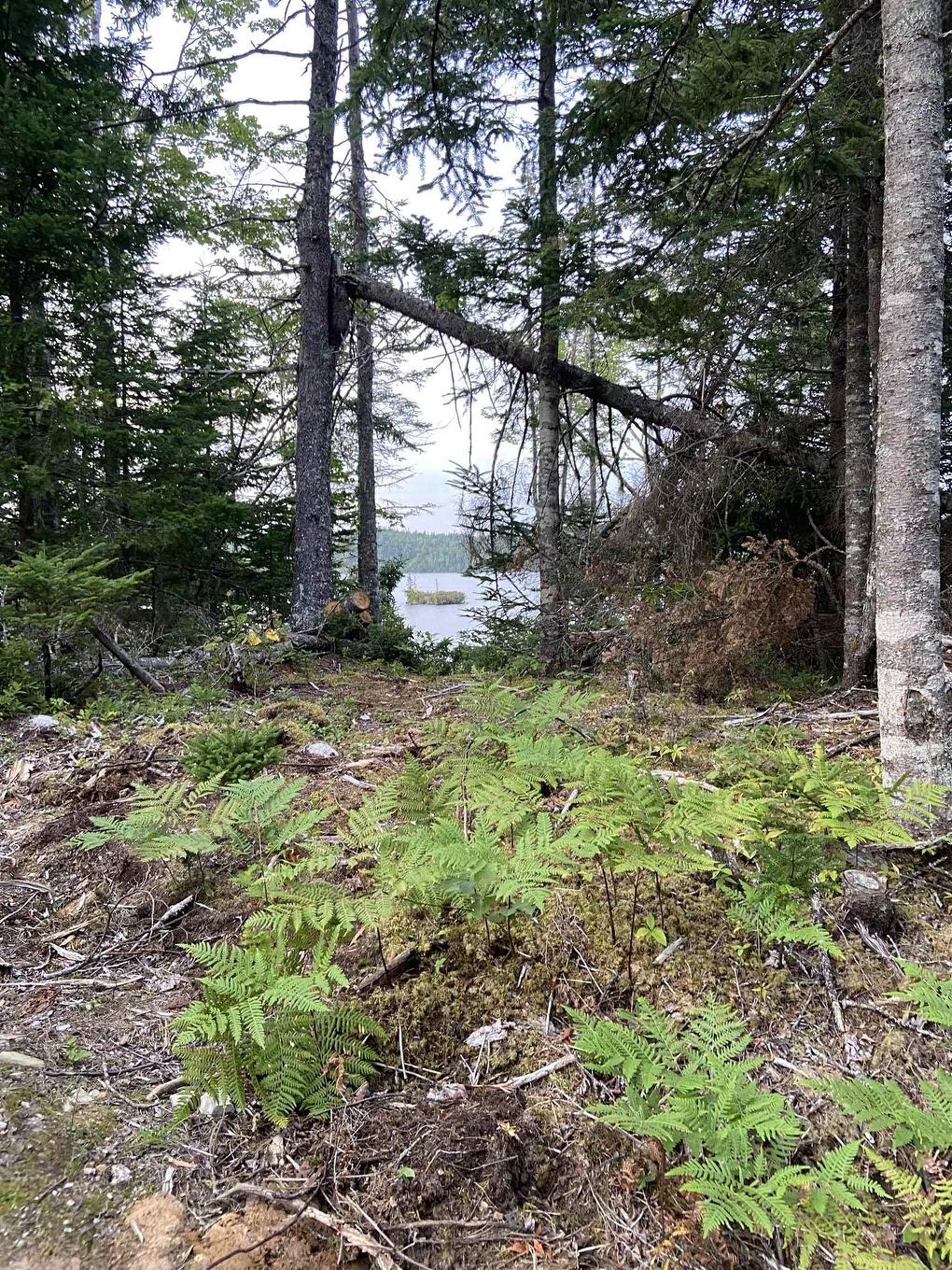 Lot 8C Longbridge Lake, Gaetz Brook, NS