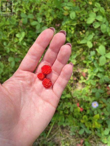 Parcel F Evergreen Acres, Turtle Lake, SK