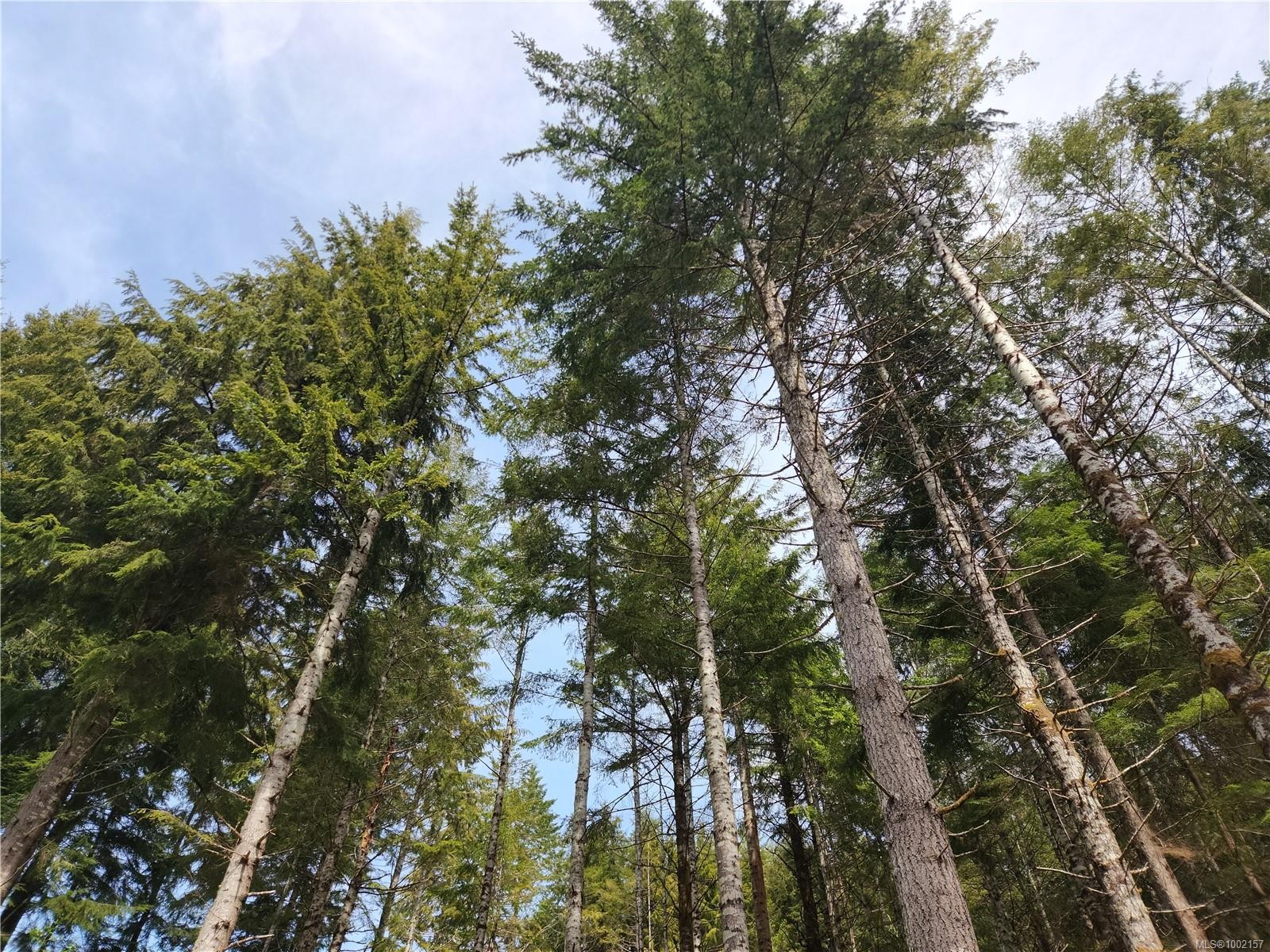 49 Petrel Dr, Sooke, BC