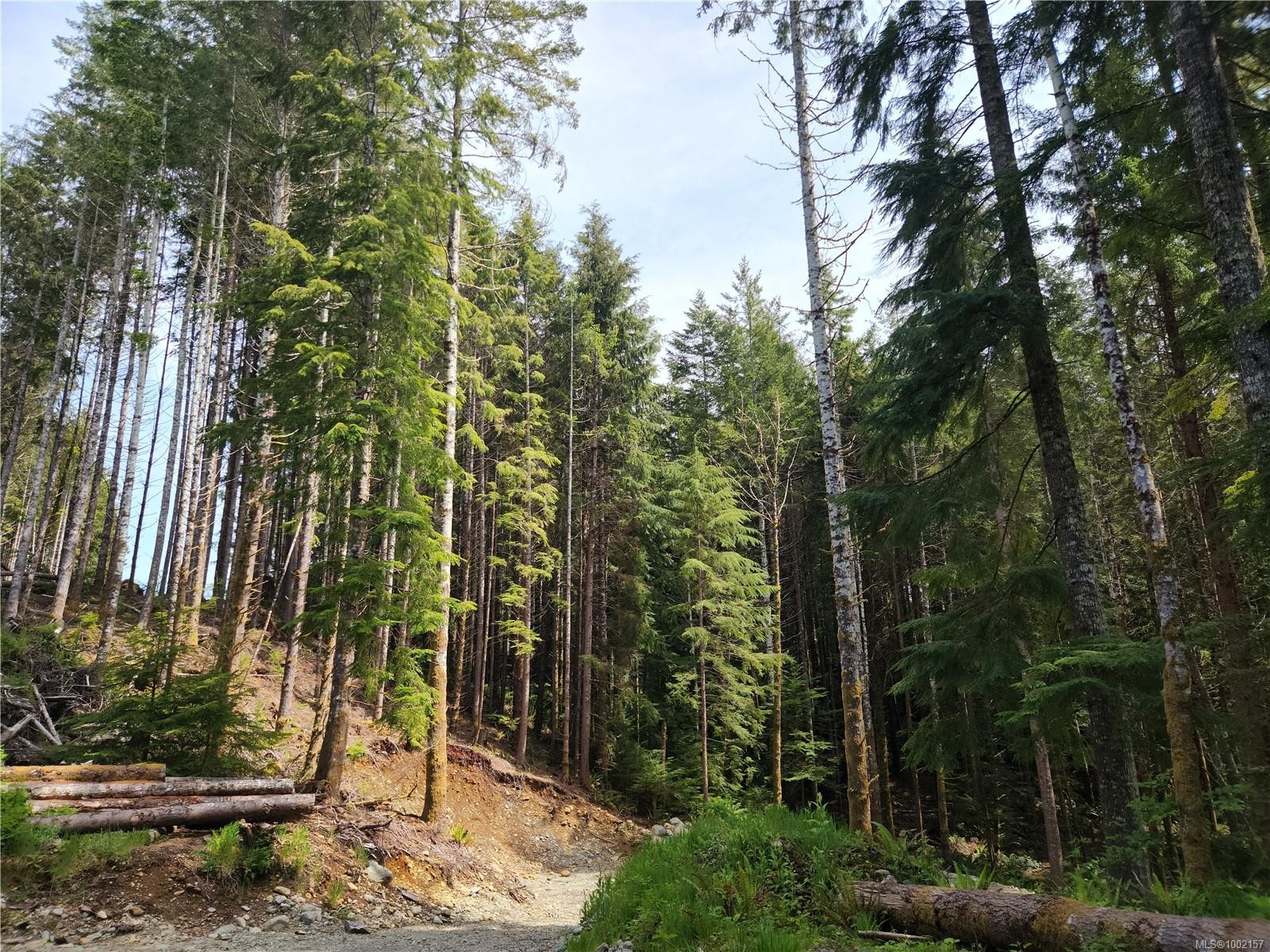 49 Petrel Dr, Sooke, BC