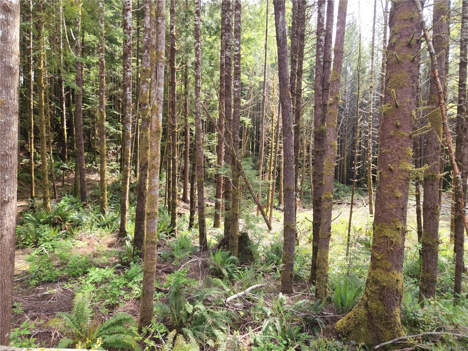 49 Petrel Dr, Sooke, BC