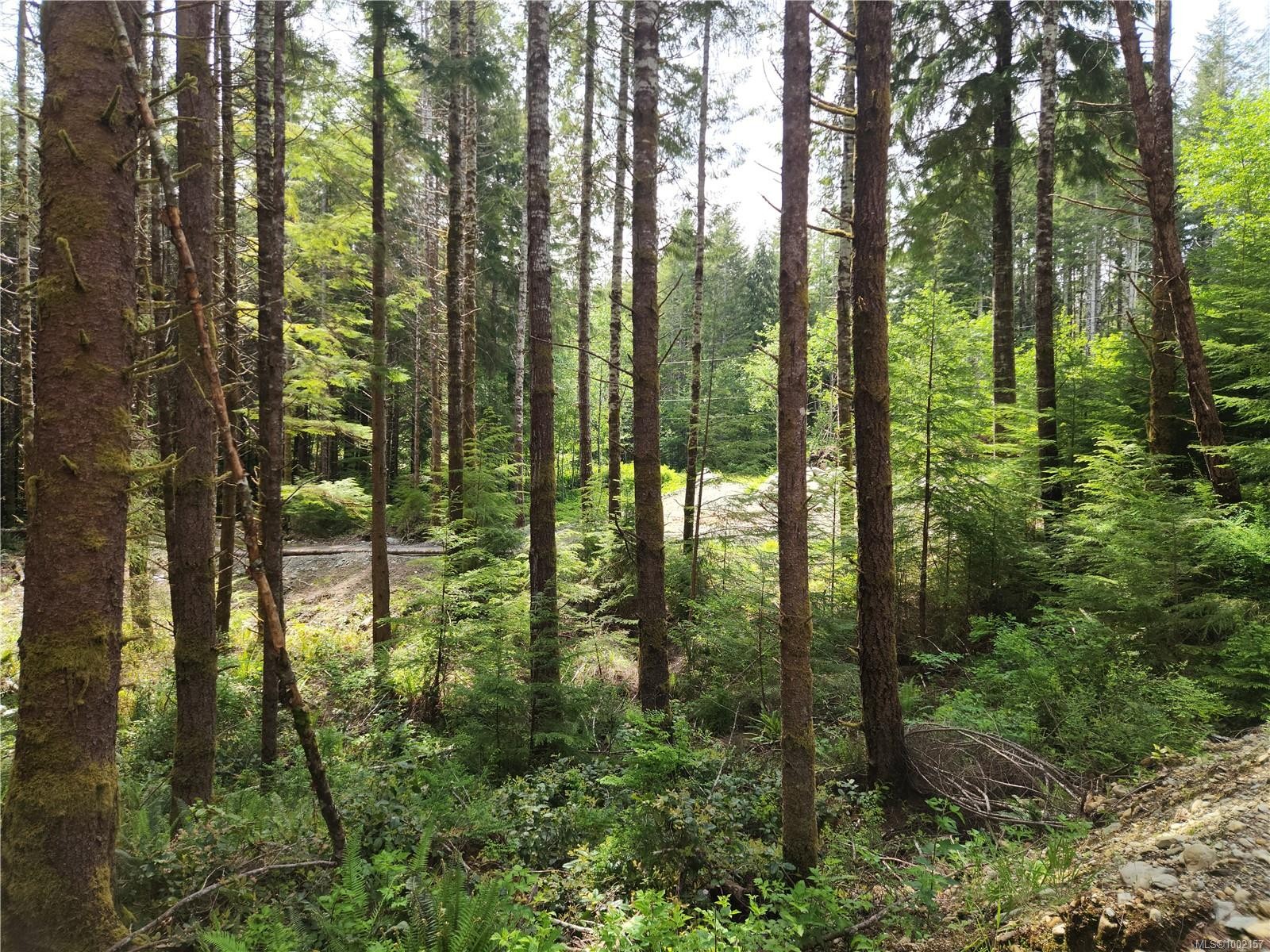 49 Petrel Dr, Sooke, BC