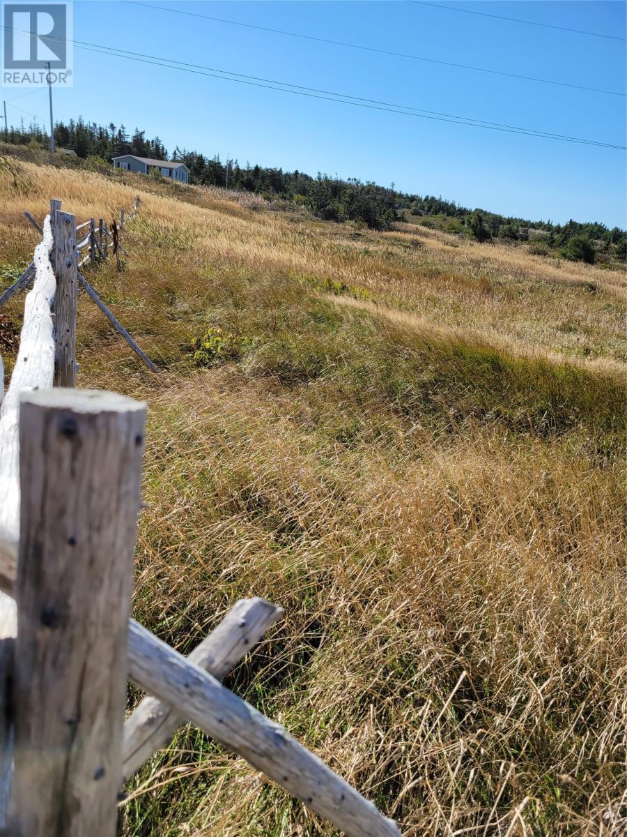 9 Main Road, Fogo Island( Tilting), NL