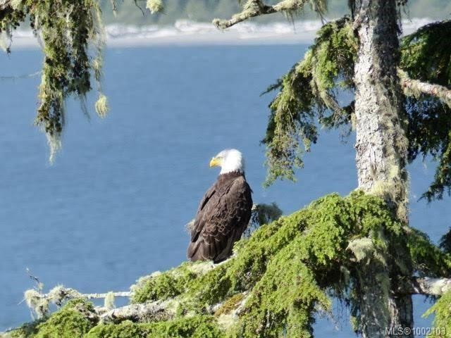 222-6596 Baird Rd, Port Renfrew, BC