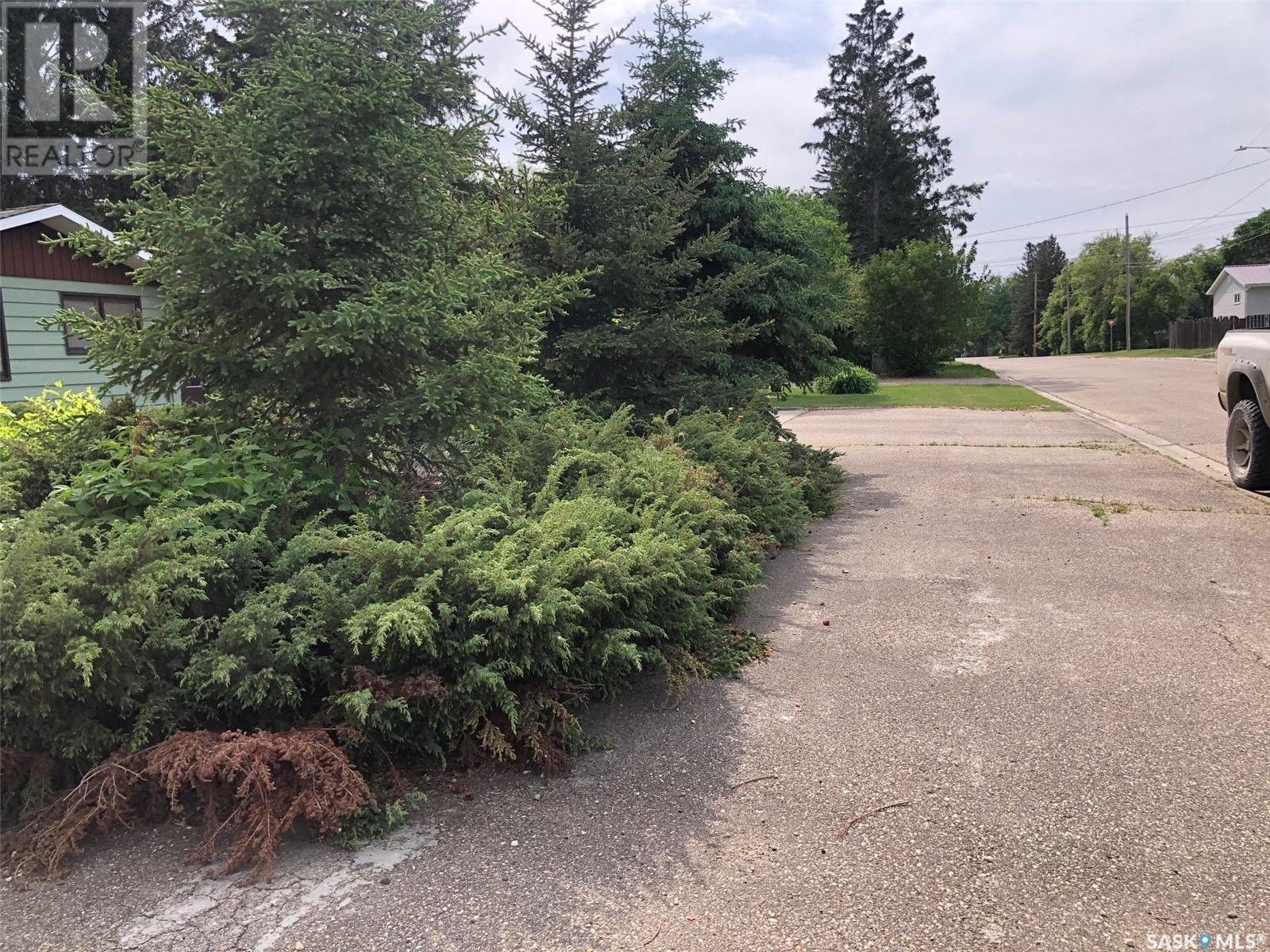 226 Saskatchewan Street E, Kamsack, SK - Outdoor