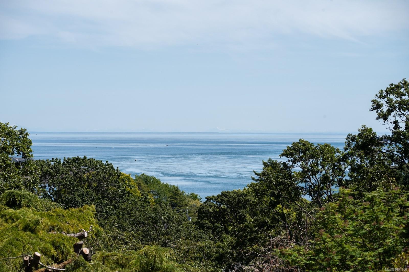 305 Denison Rd, Oak Bay, BC