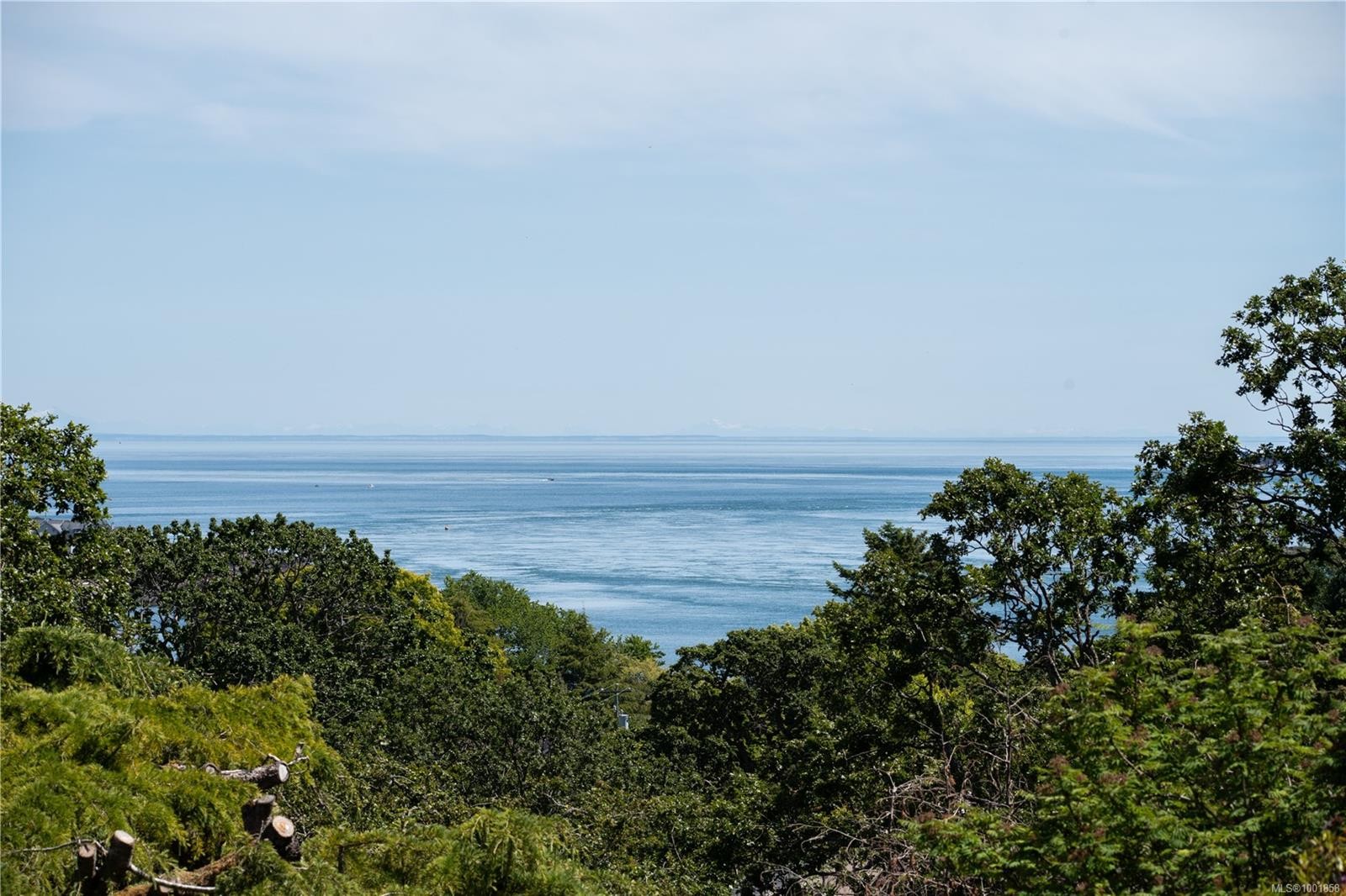 305 Denison Rd, Oak Bay, BC