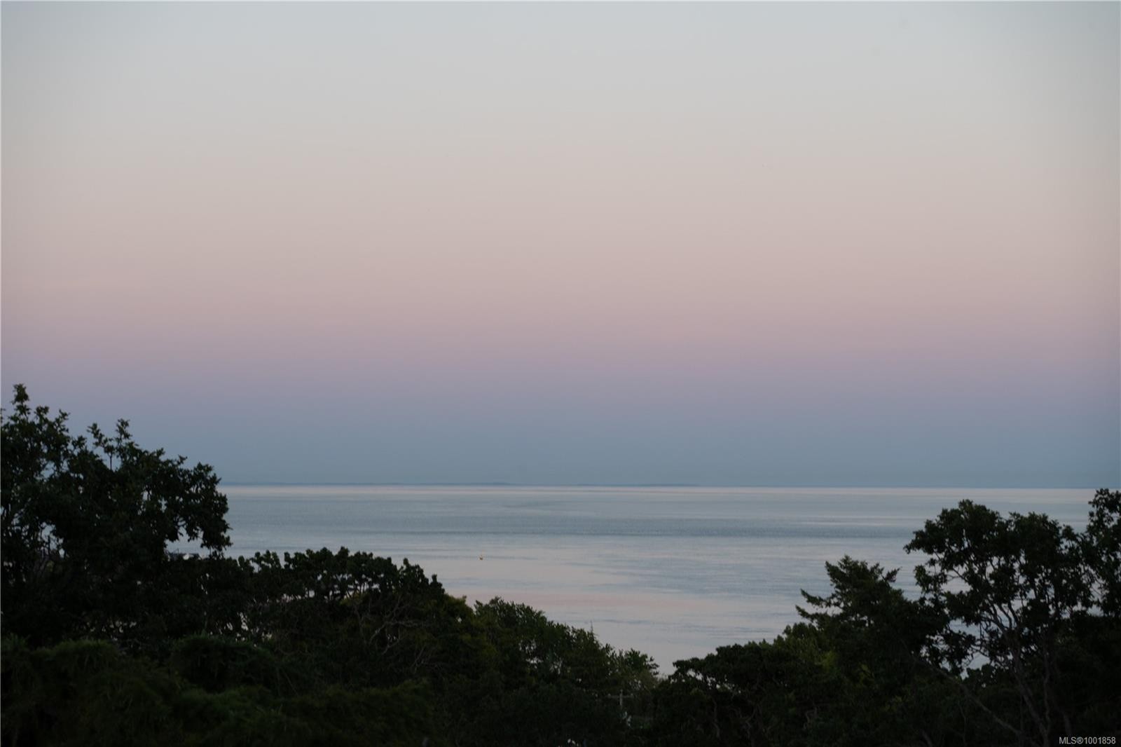 305 Denison Rd, Oak Bay, BC