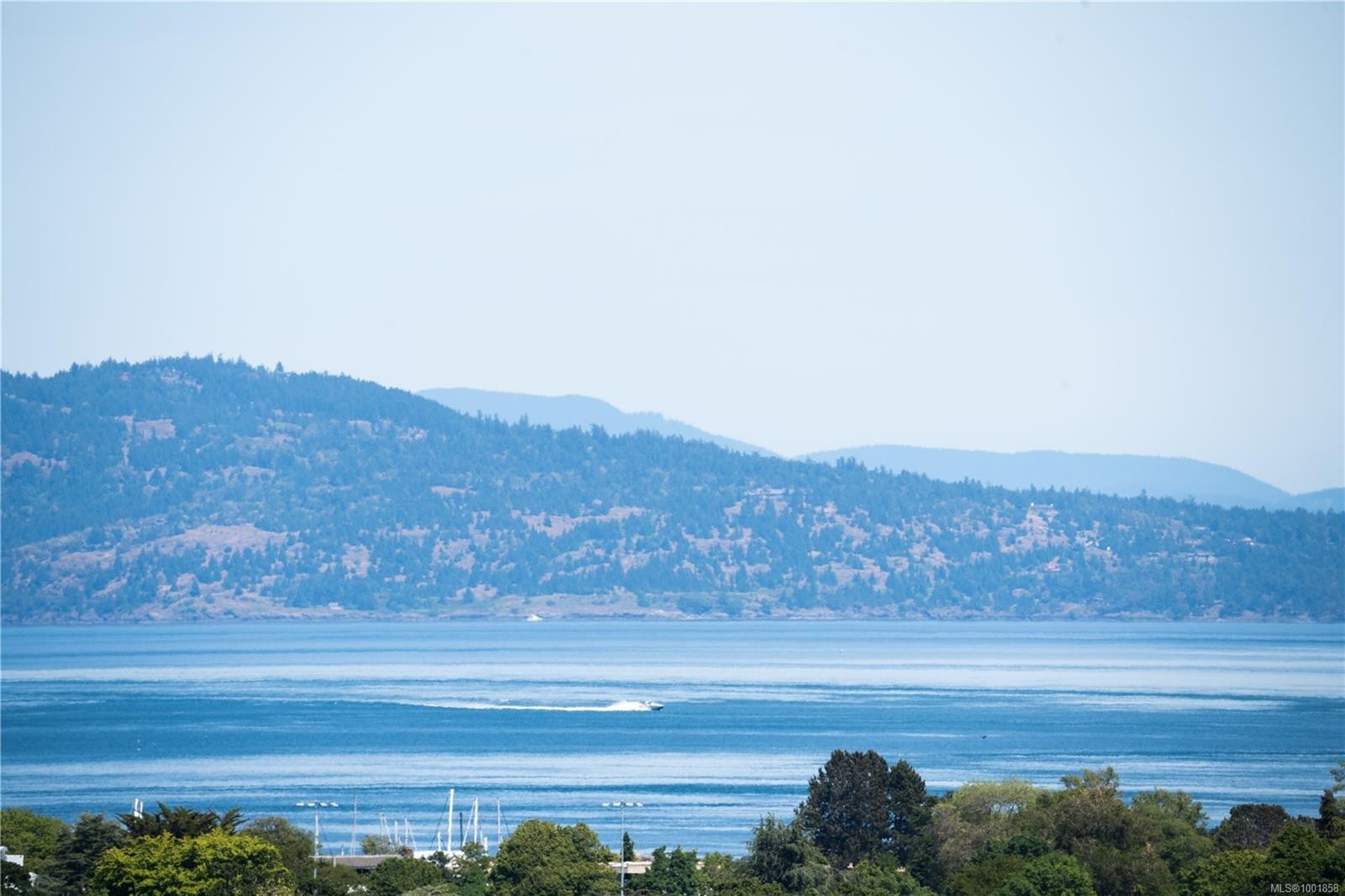 305 Denison Rd, Oak Bay, BC