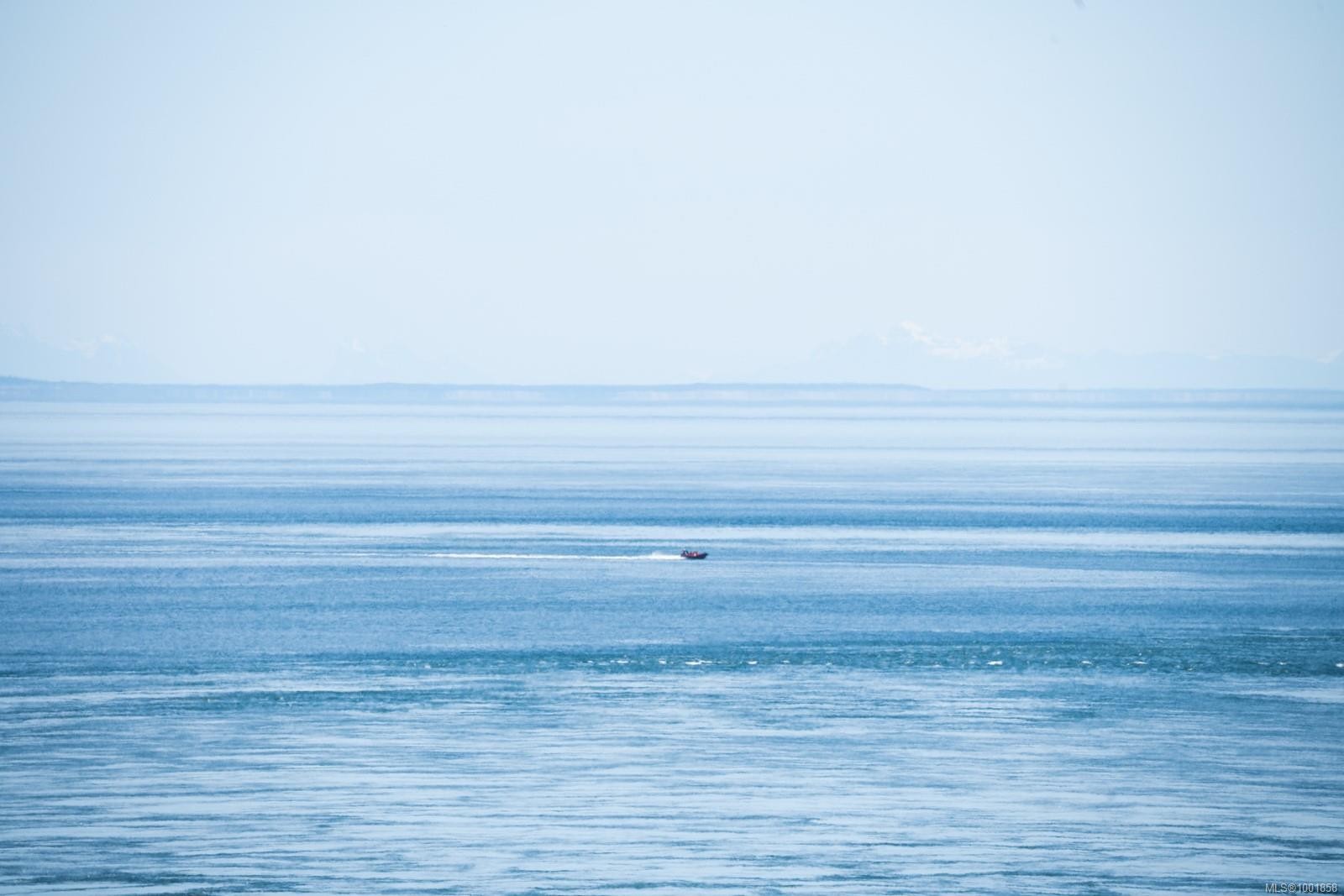 305 Denison Rd, Oak Bay, BC