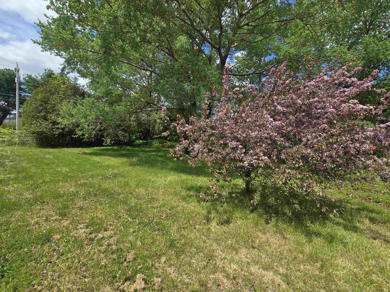 40 Broad St, Guysborough, NS