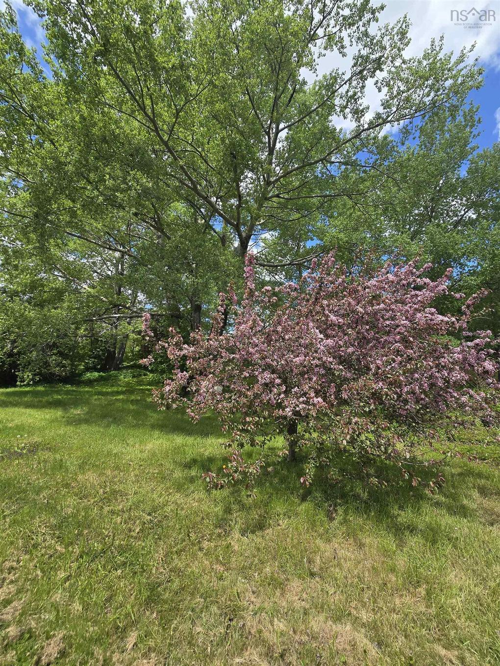 40 Broad St, Guysborough, NS