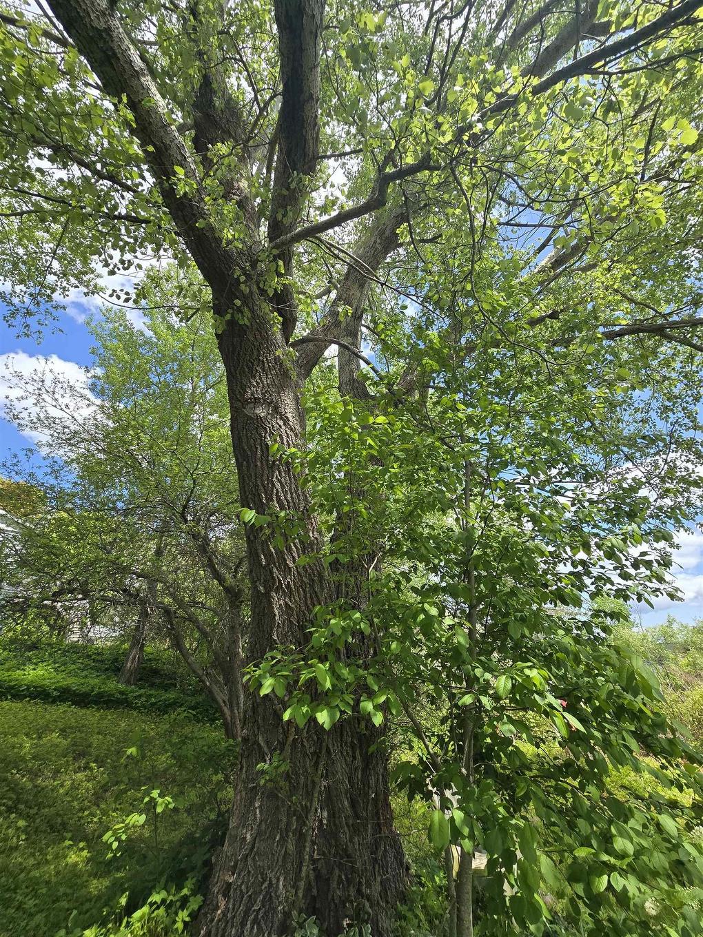 40 Broad St, Guysborough, NS