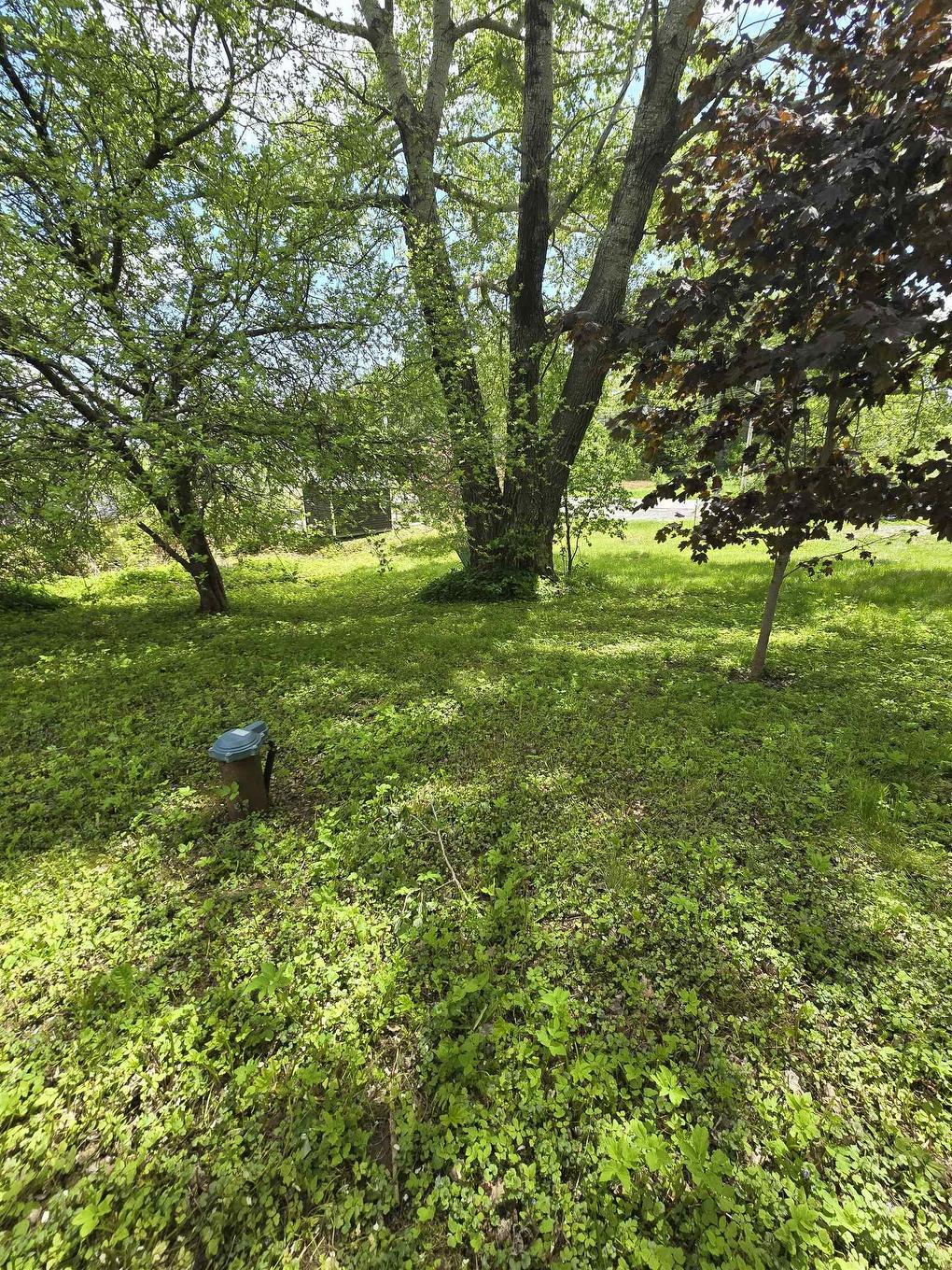 40 Broad St, Guysborough, NS