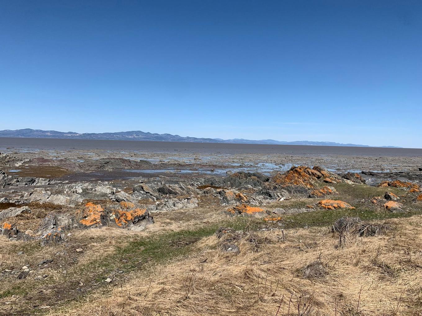Waterfront - Route De La Seigneurie, Saint-Roch-Des-Aulnaies, QC