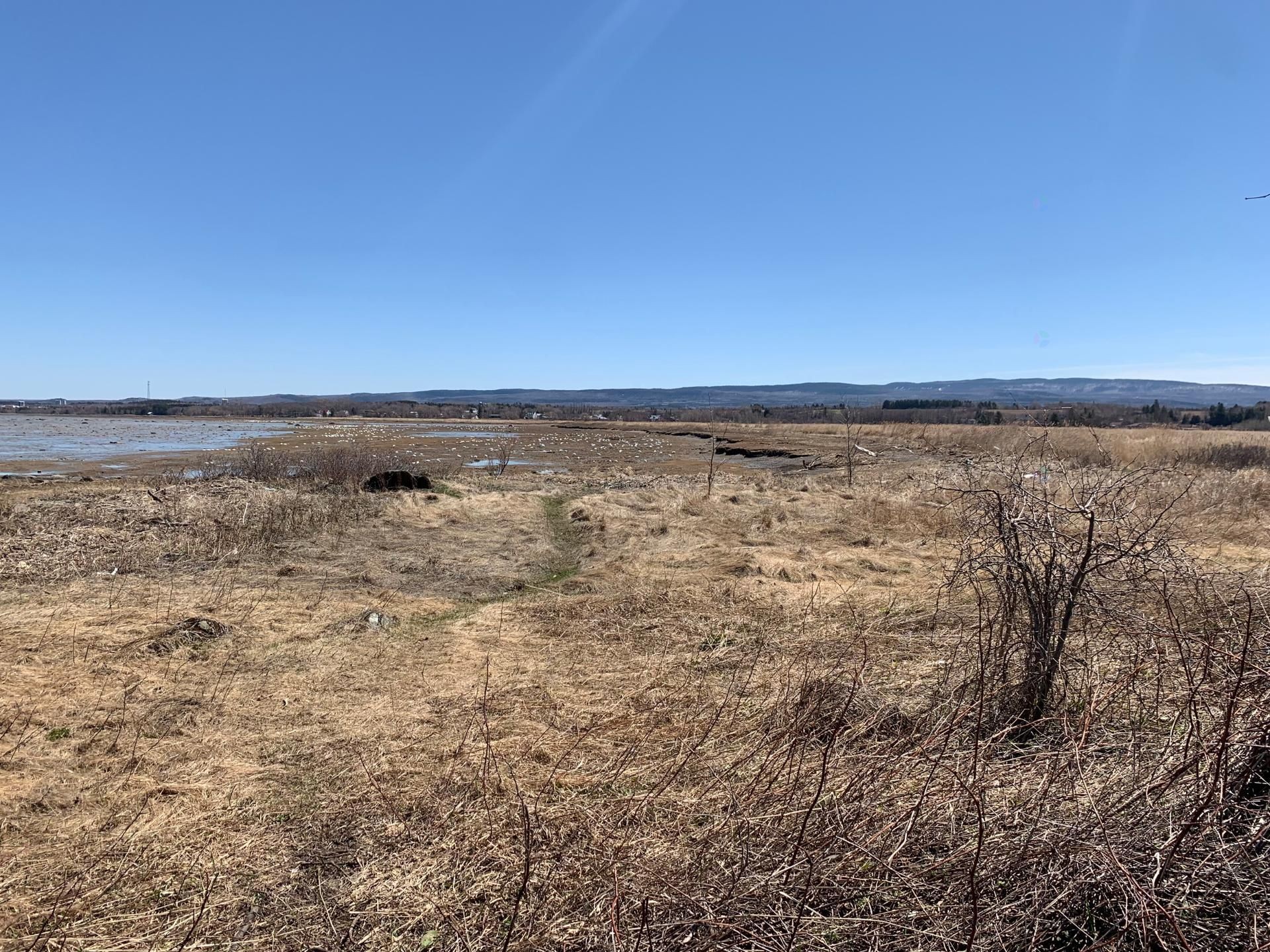 Bord de l'eau - Route De La Seigneurie, Saint-Roch-Des-Aulnaies, QC