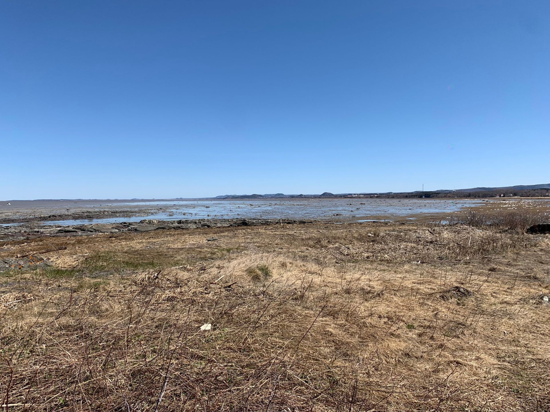 Bord de l'eau - Route De La Seigneurie, Saint-Roch-Des-Aulnaies, QC