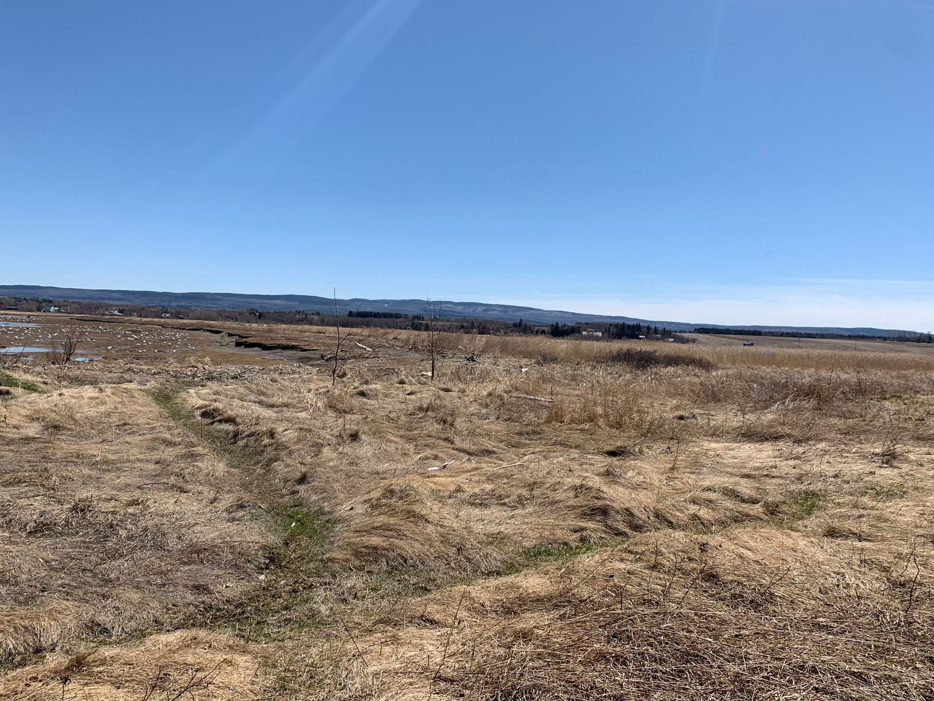 Bord de l'eau - Route De La Seigneurie, Saint-Roch-Des-Aulnaies, QC