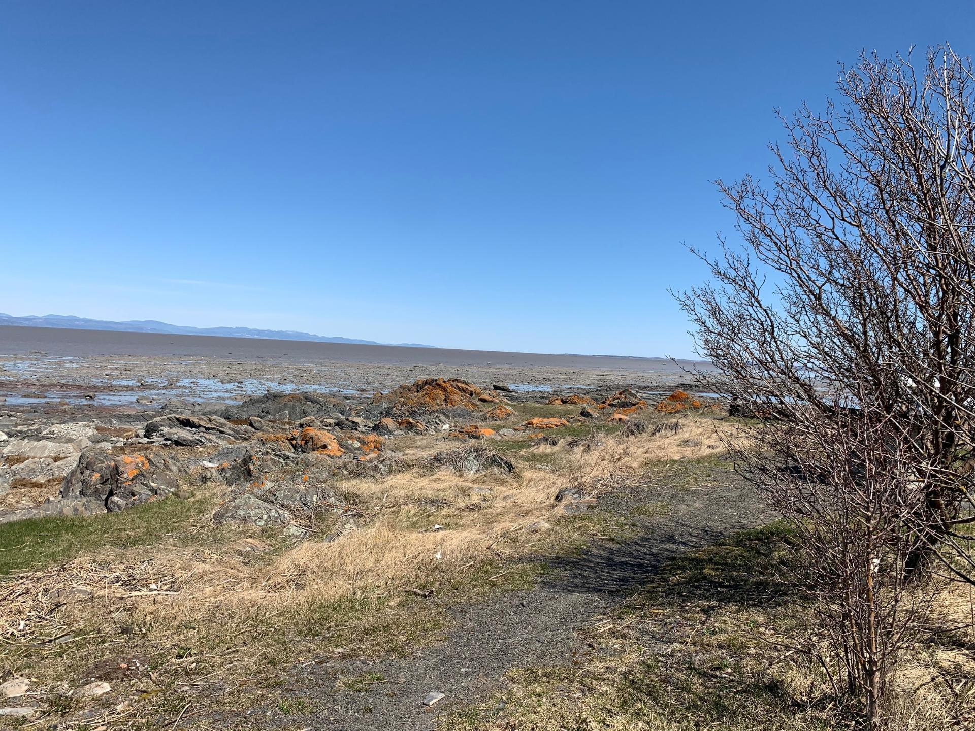 Bord de l'eau - Route De La Seigneurie, Saint-Roch-Des-Aulnaies, QC