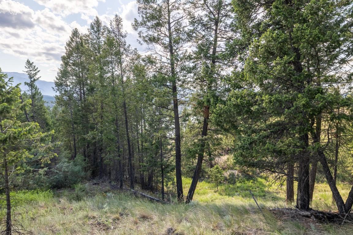 Lot 46 Upper Lakeview Road, Invermere, BC - Outdoor With View