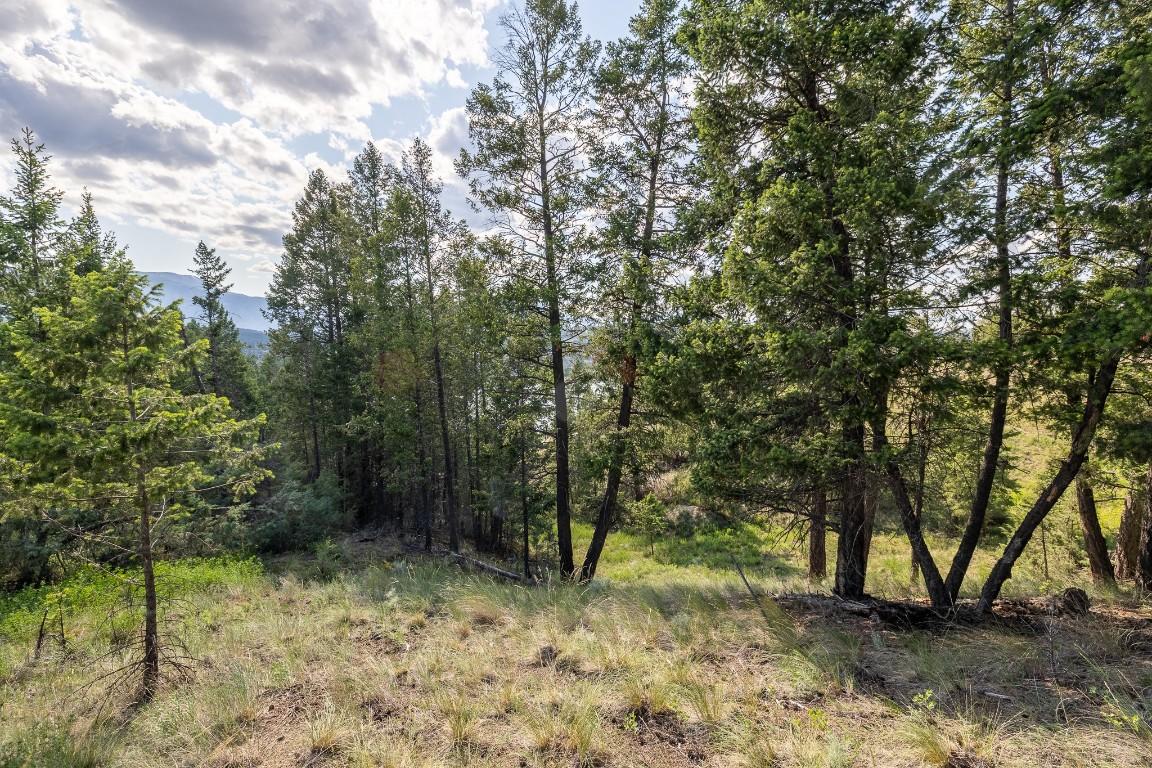 Lot 46 Upper Lakeview Road, Invermere, BC - Outdoor With View