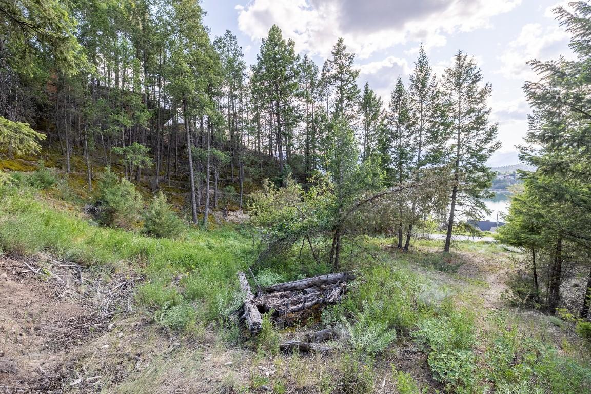 Lot 46 Upper Lakeview Road, Invermere, BC - Outdoor With View