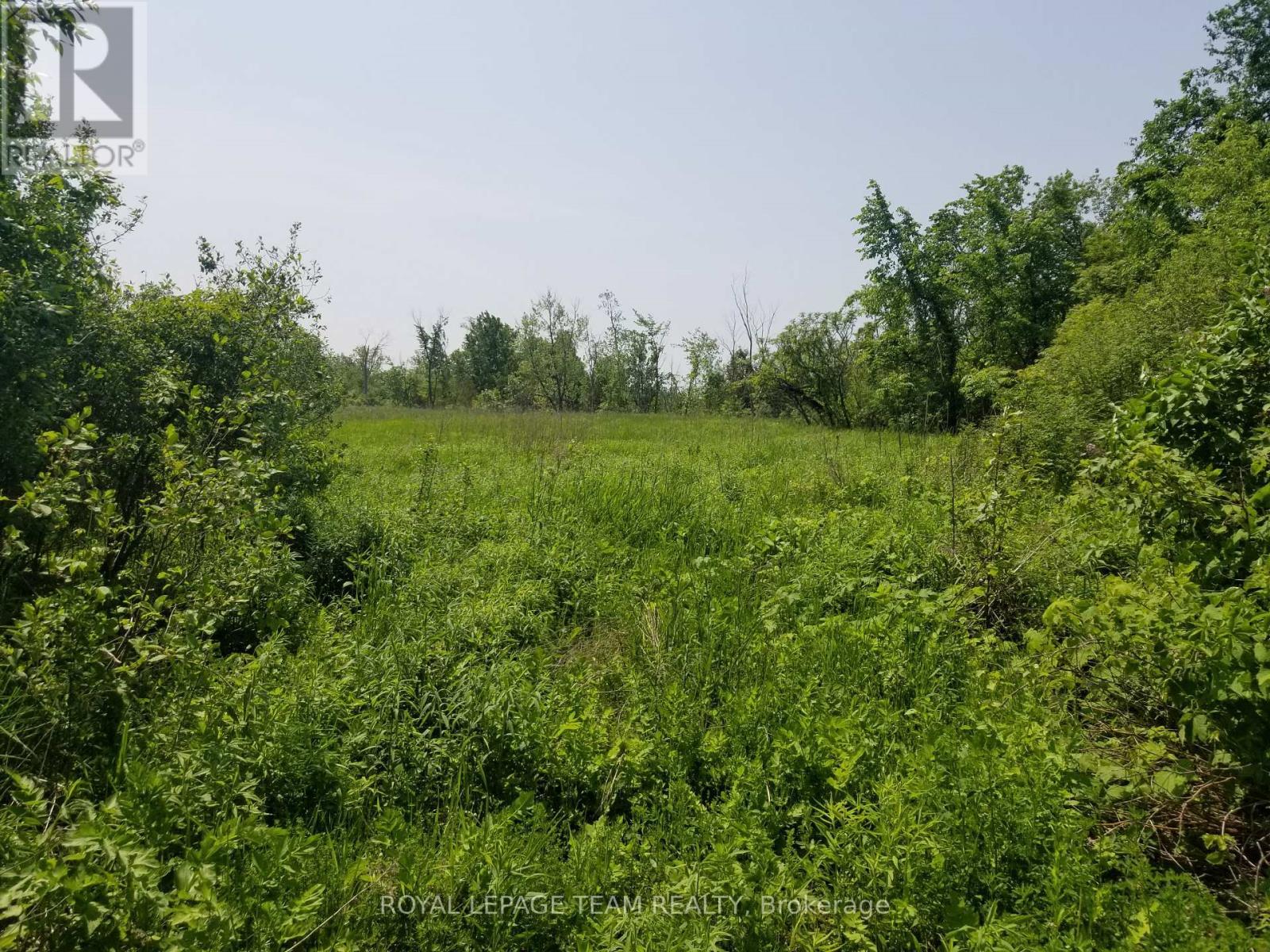 Access on North side of land from City Road. - 0000 Scrivens Drive S, Ottawa, ON