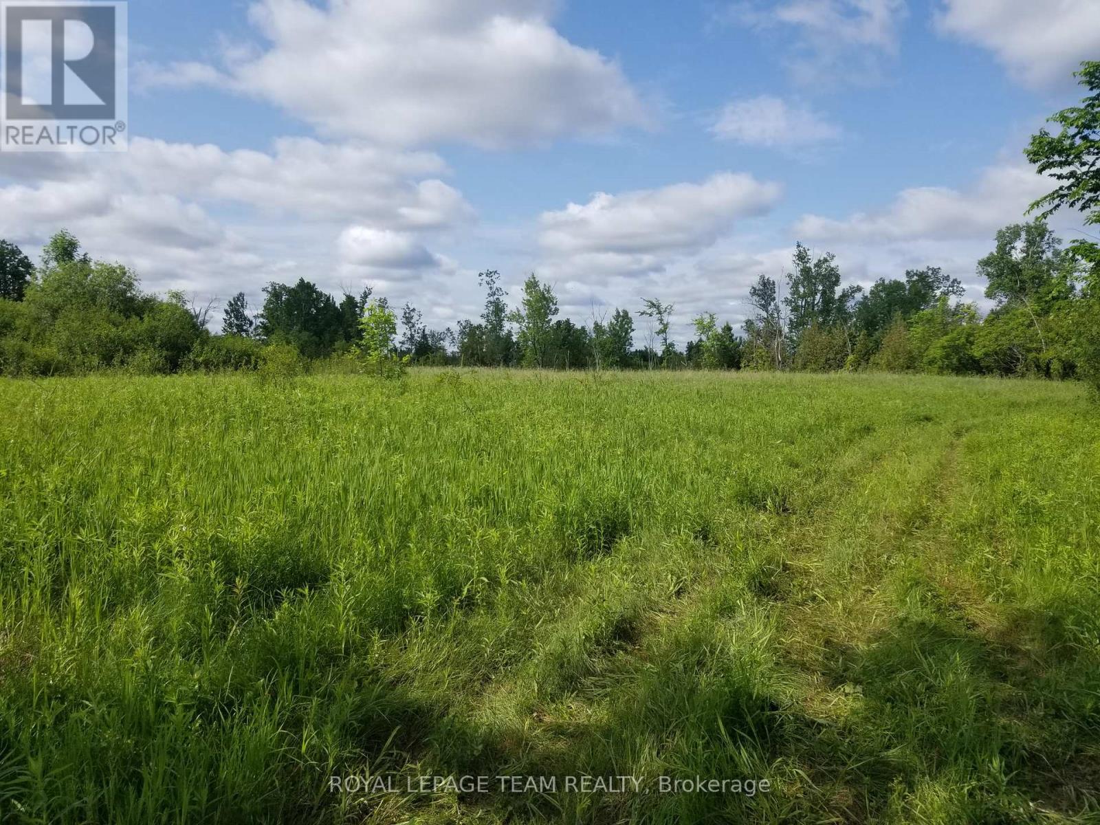 Several great open areas-Scattered trees trees - 0000 Scrivens Drive S, Ottawa, ON