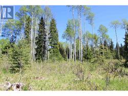 PROP Lot 21 BROWN ROAD Bridge Lake, BC V0K 1E0