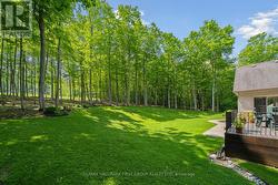 Backyard Side View -