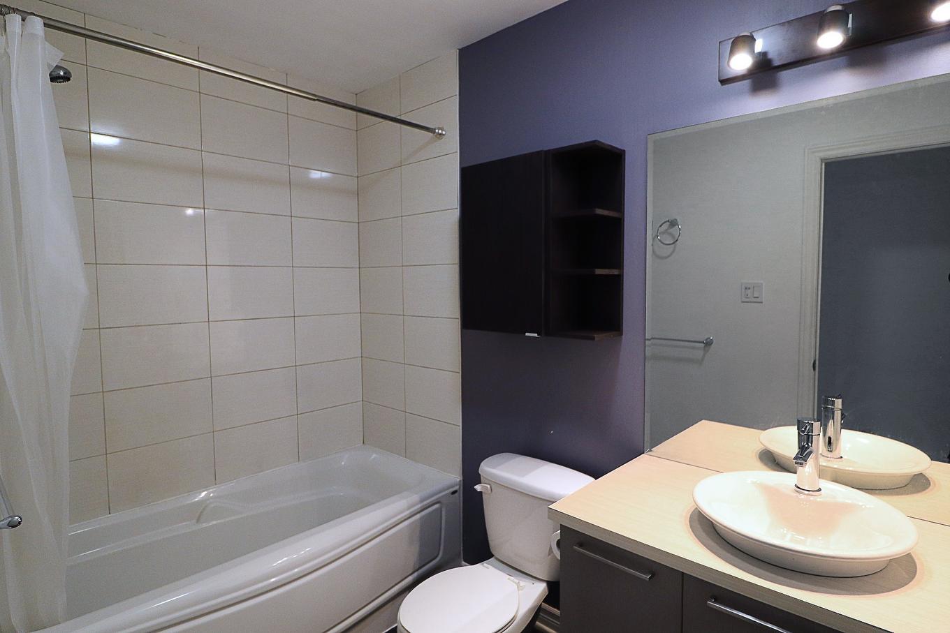 Bathroom - 2-2120 Av. Jeanne-D'Arc, Montréal (Mercier/Hochelaga-Maisonneuve), QC - Indoor Photo Showing Bathroom