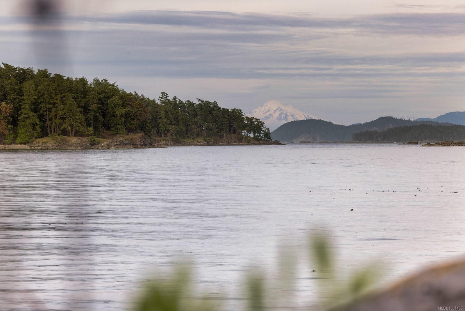 10865 Fernie Wynd Rd, North Saanich, BC