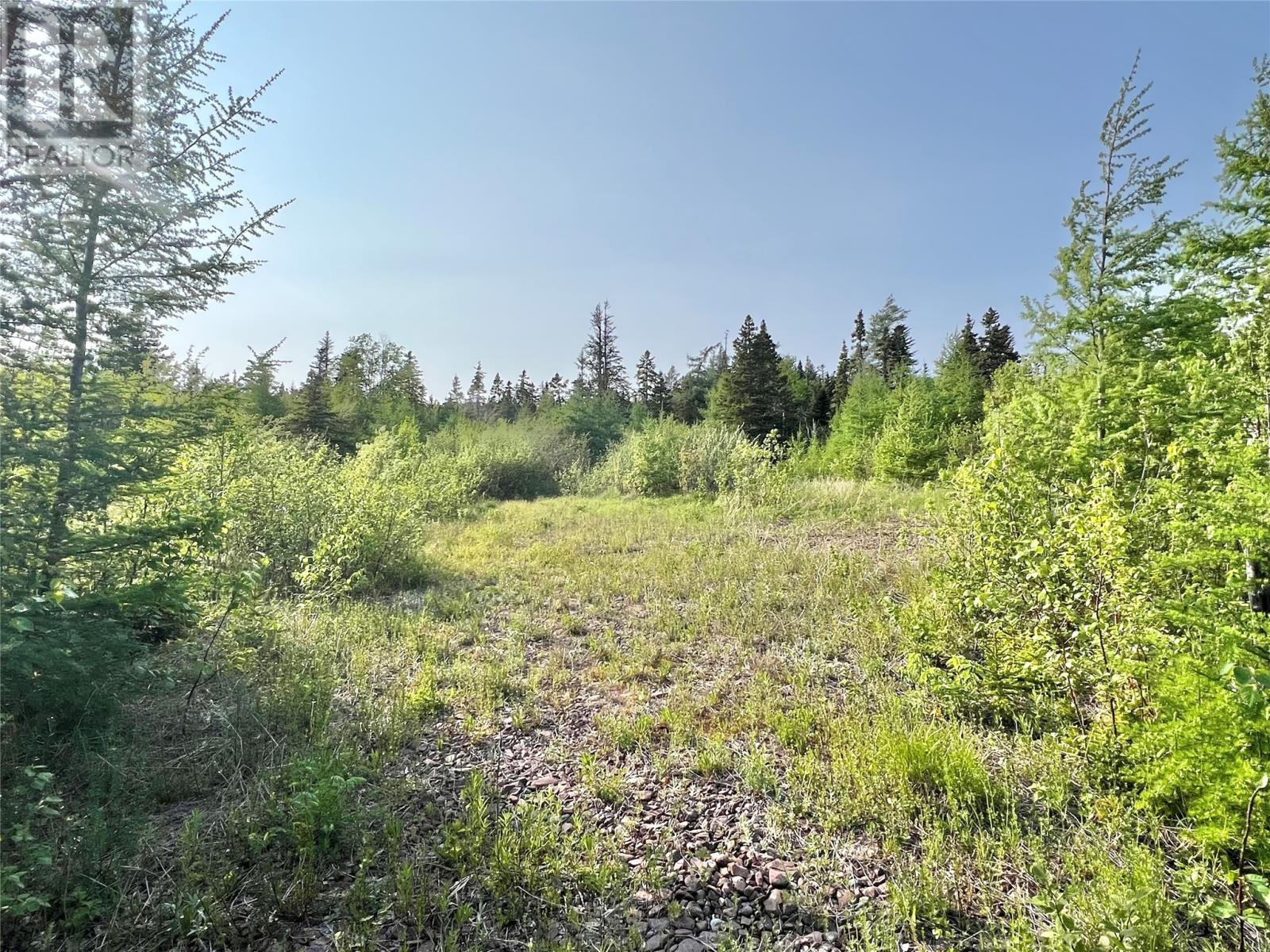 437 Main Street, Northern Arm, NL