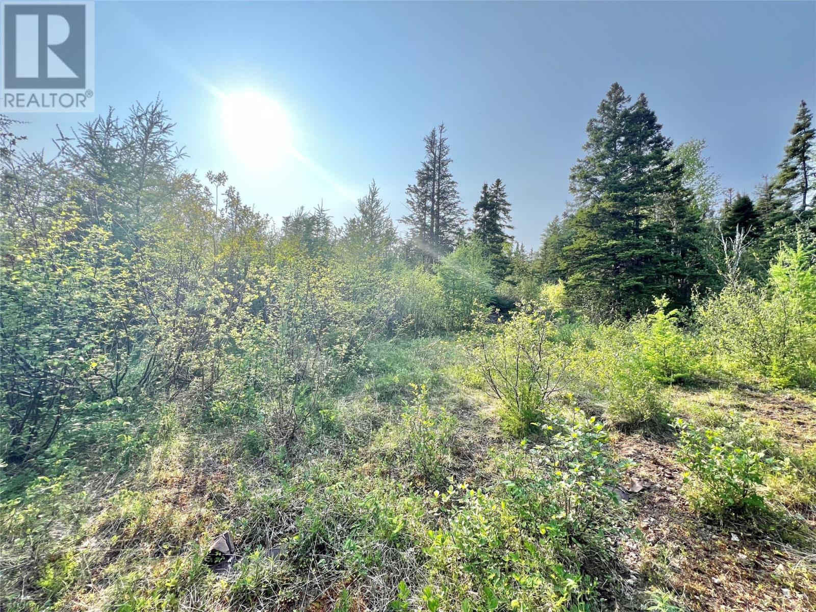 437 Main Street, Northern Arm, NL