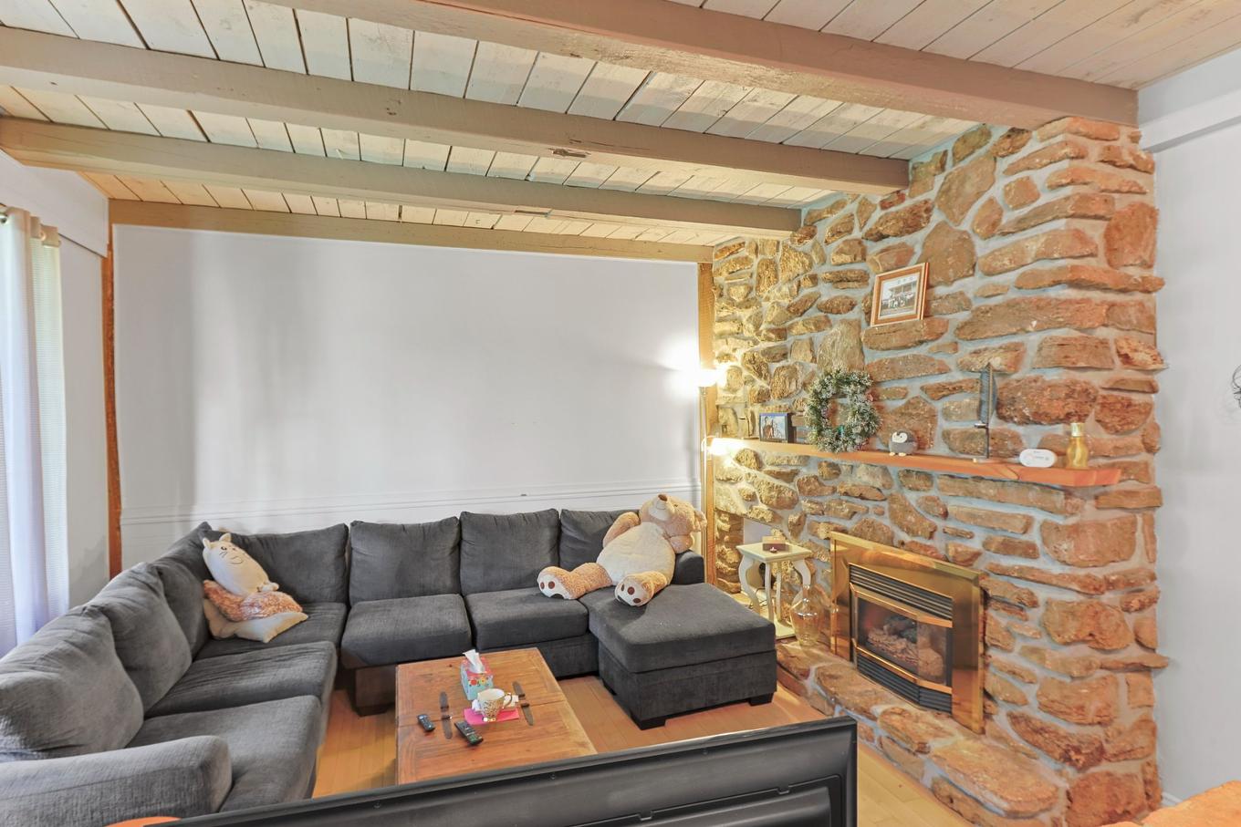 Living room - 857 - 859 Rue St-Clément, Mercier, QC - Indoor Photo Showing Living Room With Fireplace