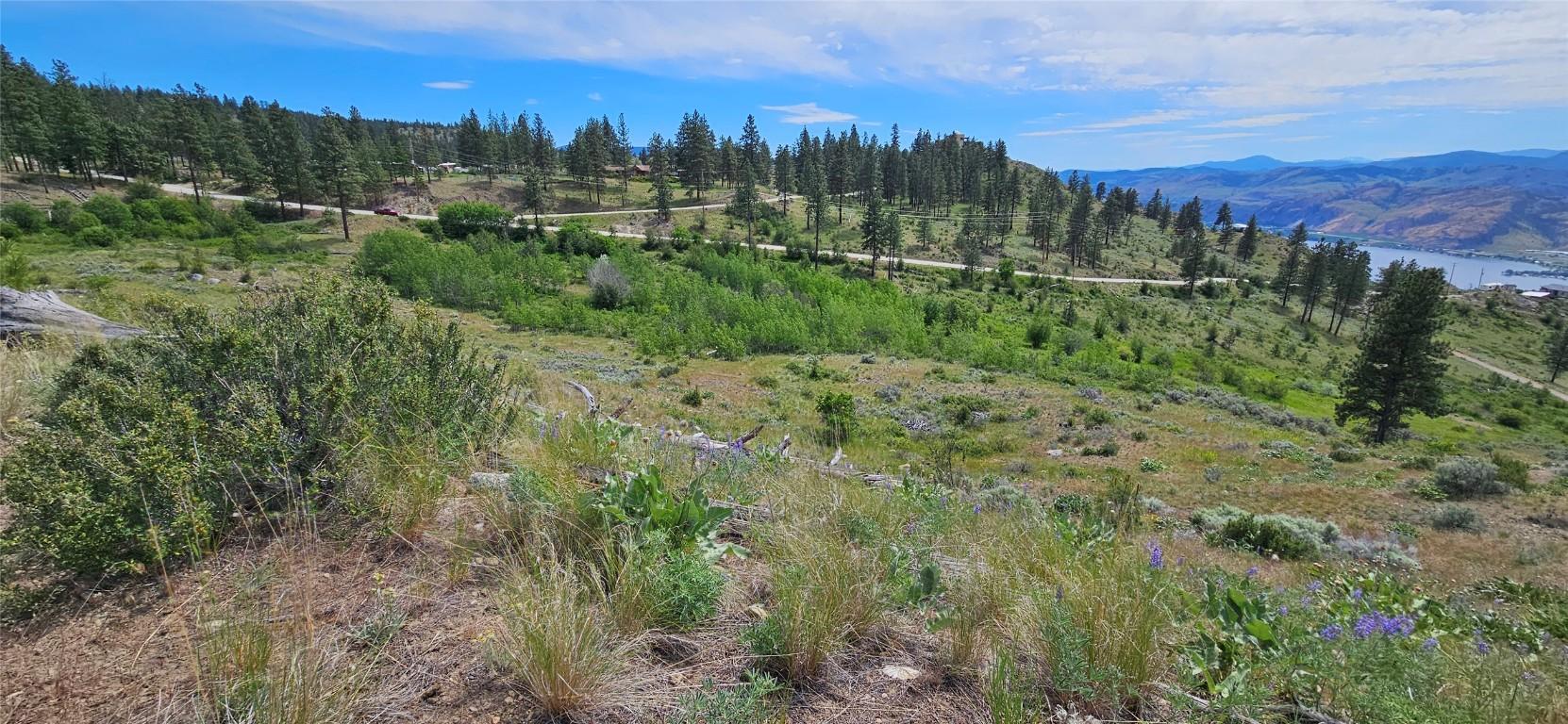 389 Chapman Road, Osoyoos, BC