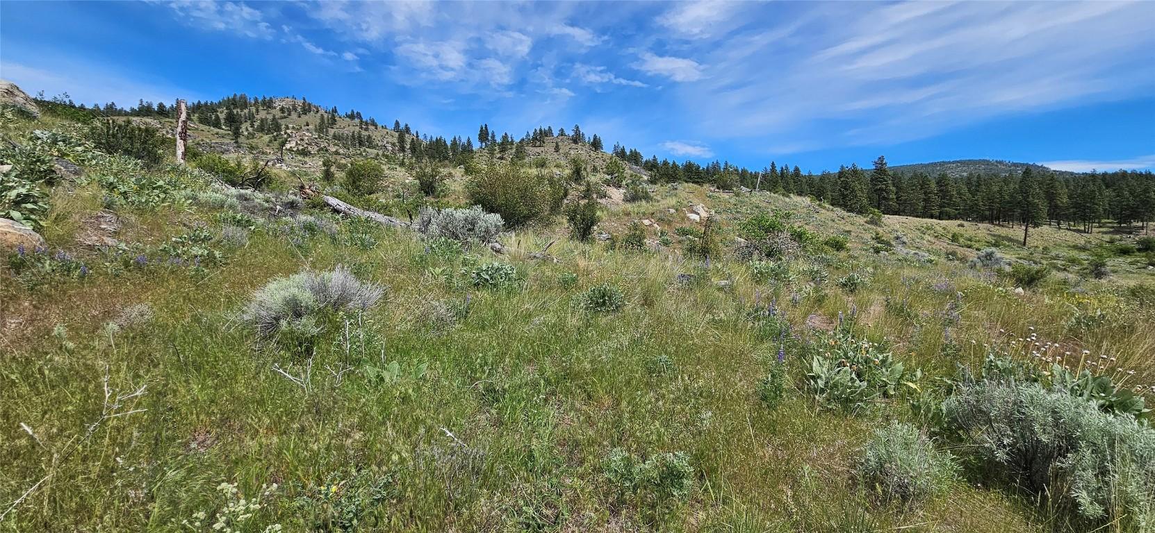 389 Chapman Road, Osoyoos, BC