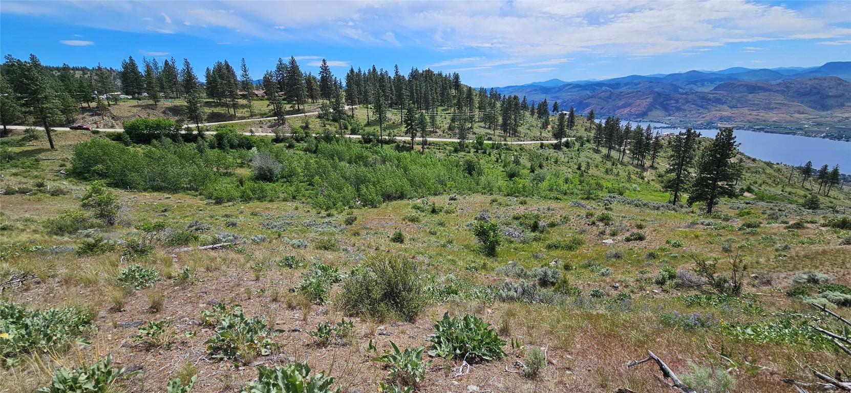 389 Chapman Road, Osoyoos, BC