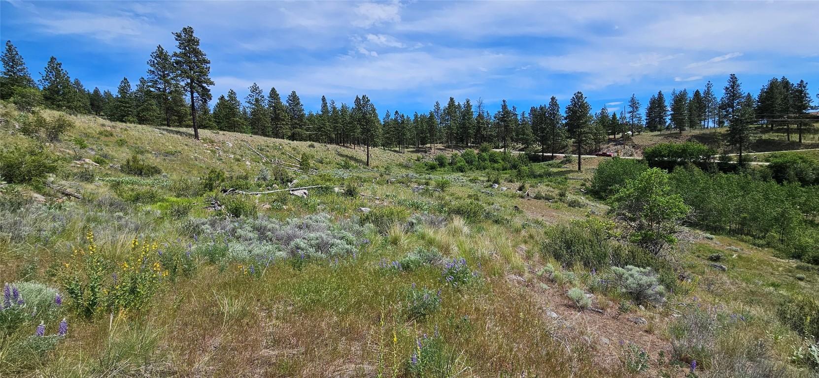 389 Chapman Road, Osoyoos, BC