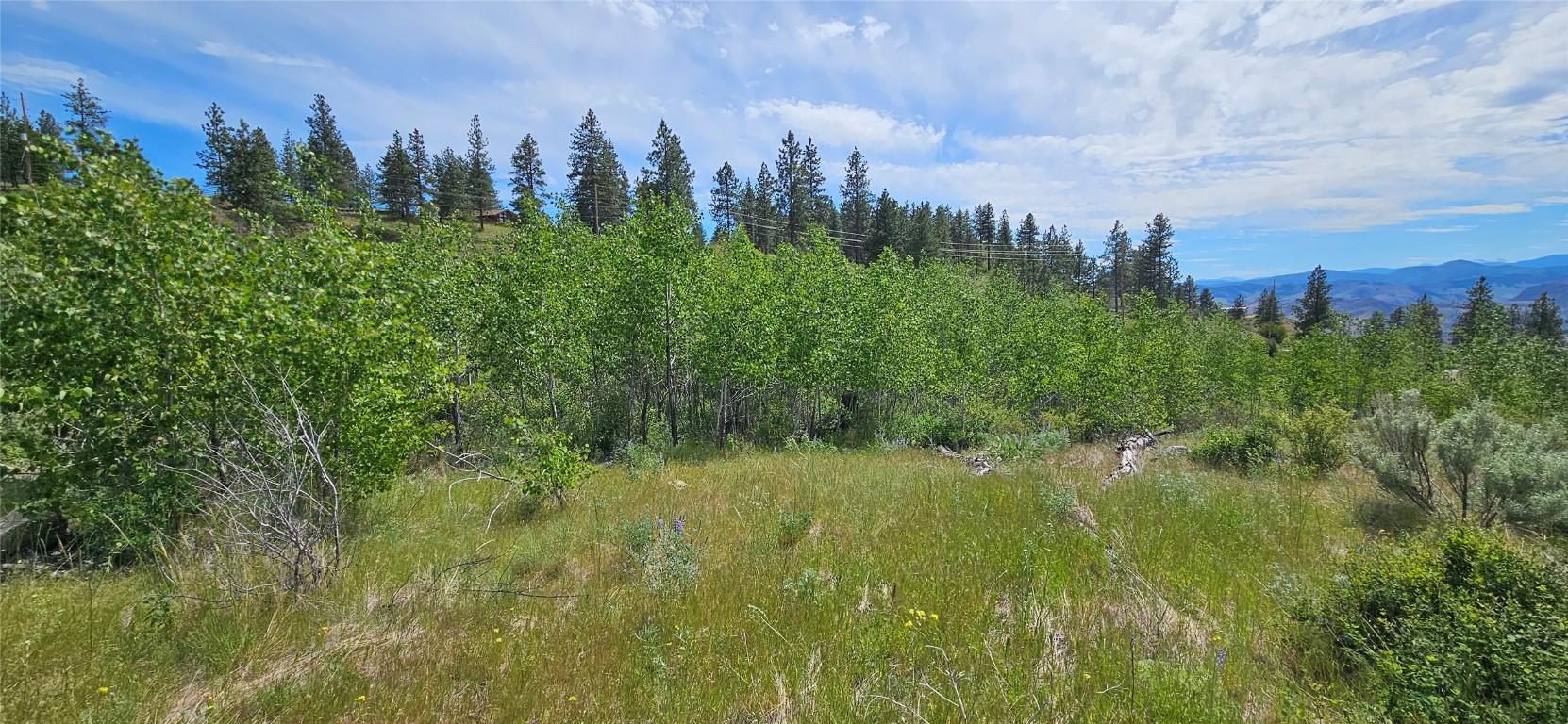 389 Chapman Road, Osoyoos, BC