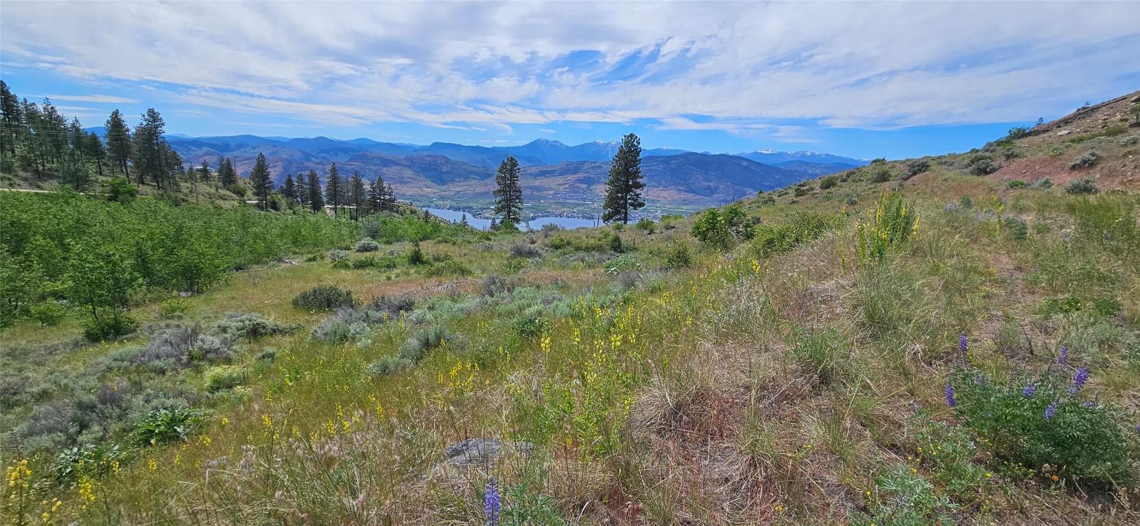 389 Chapman Road, Osoyoos, BC