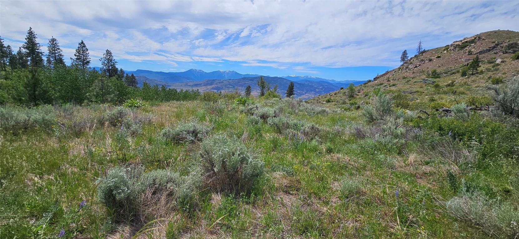 389 Chapman Road, Osoyoos, BC