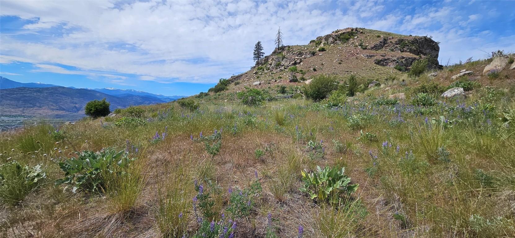 389 Chapman Road, Osoyoos, BC