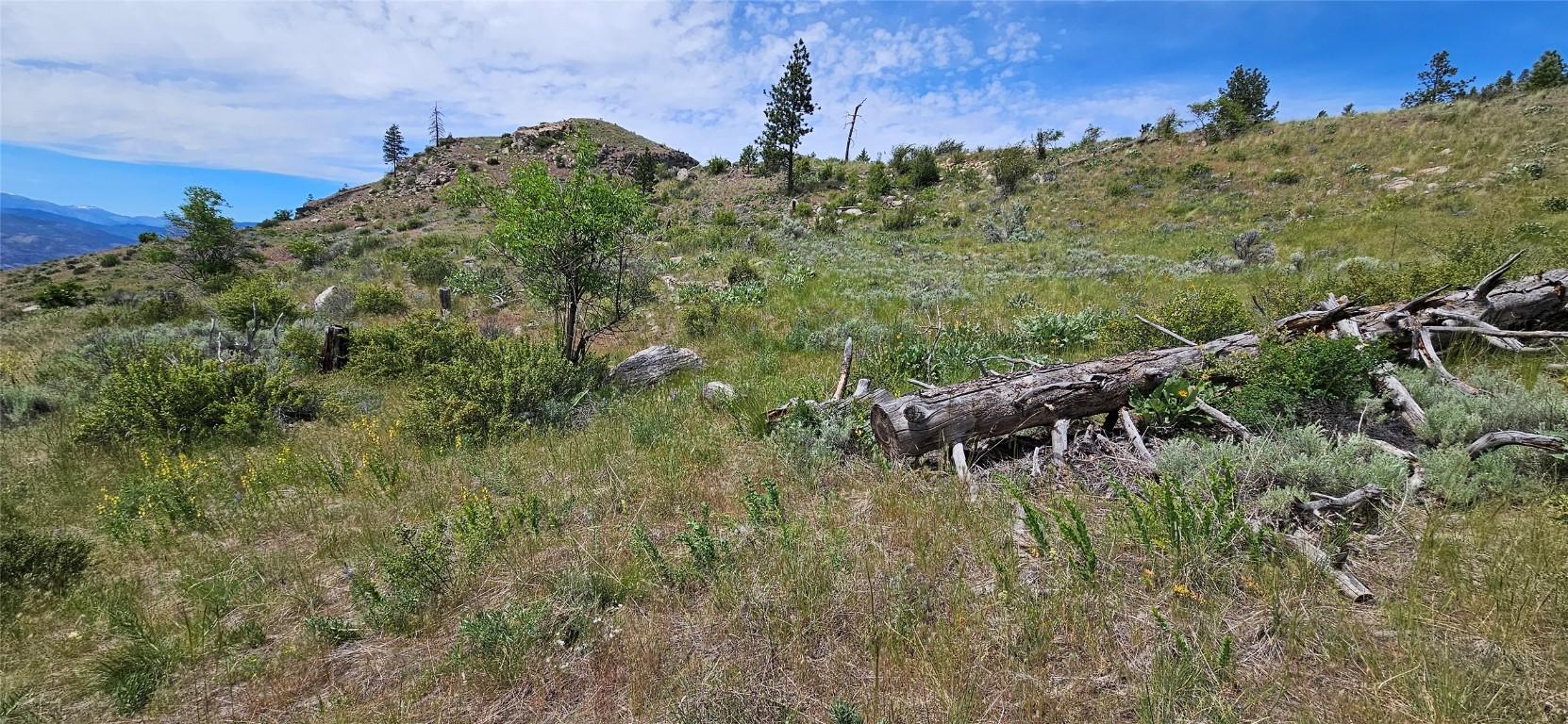 389 Chapman Road, Osoyoos, BC