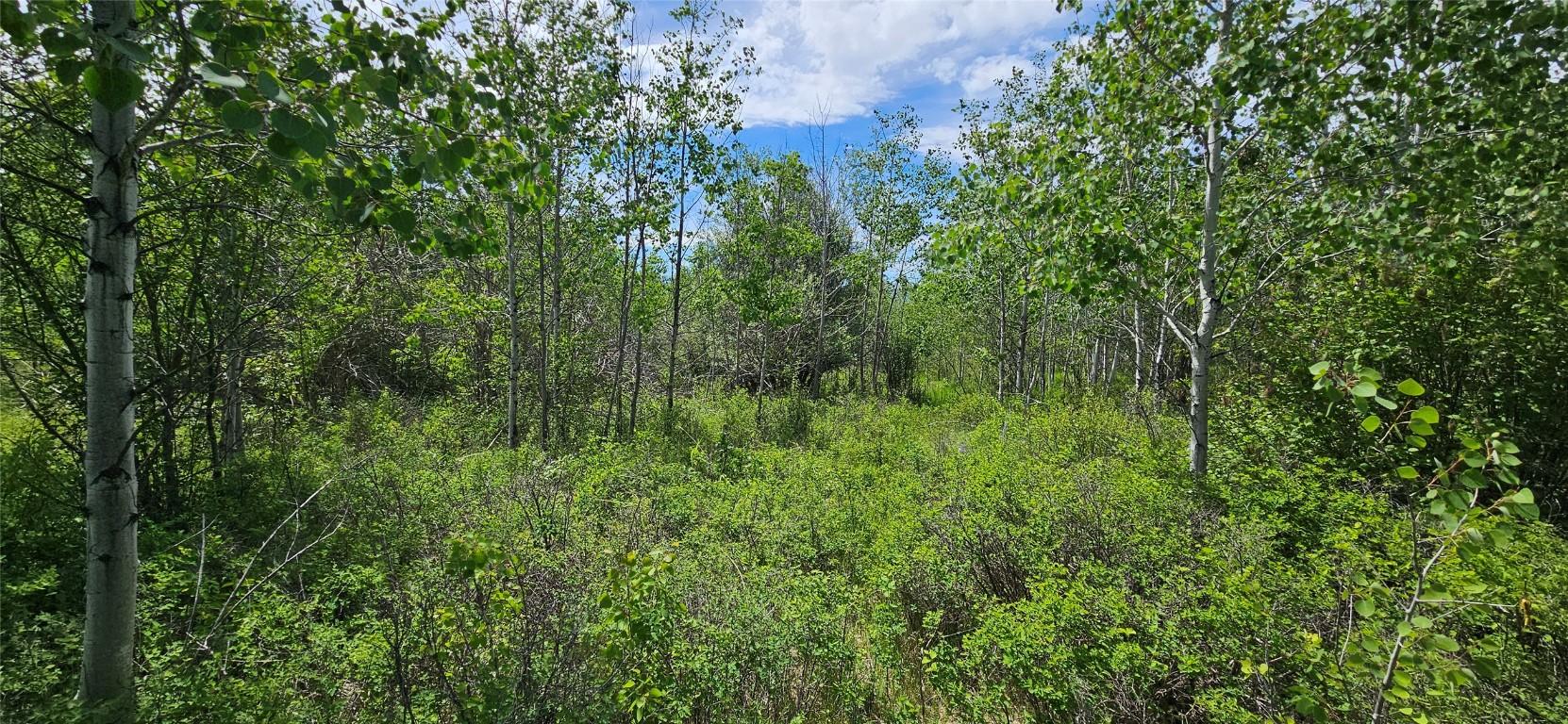 389 Chapman Road, Osoyoos, BC